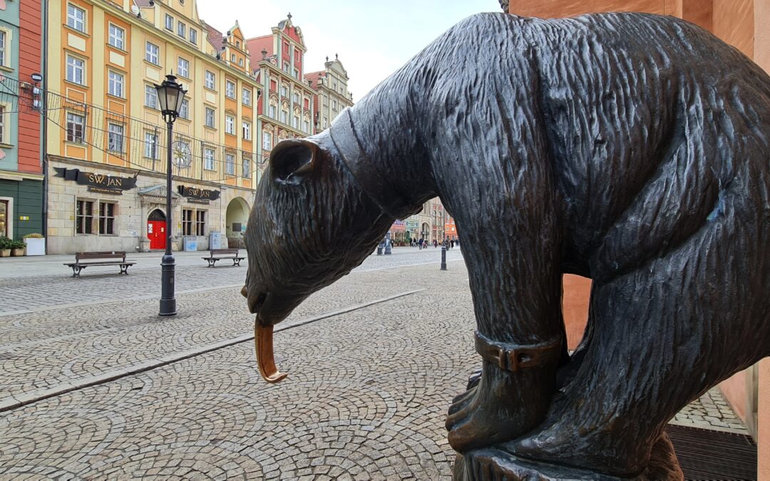 Wrocławski Miś na Rynku. Rzeźba z historią!