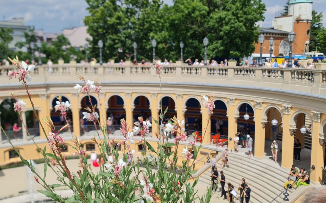 SOBOTA g. 16.00 „Wrocław – Nieznane zaułki miasta”